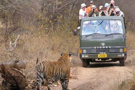 About Ranthambore