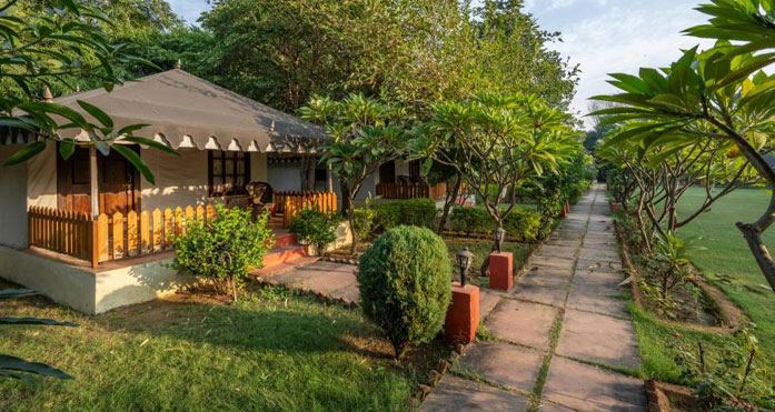 Jungle Cave Resort
