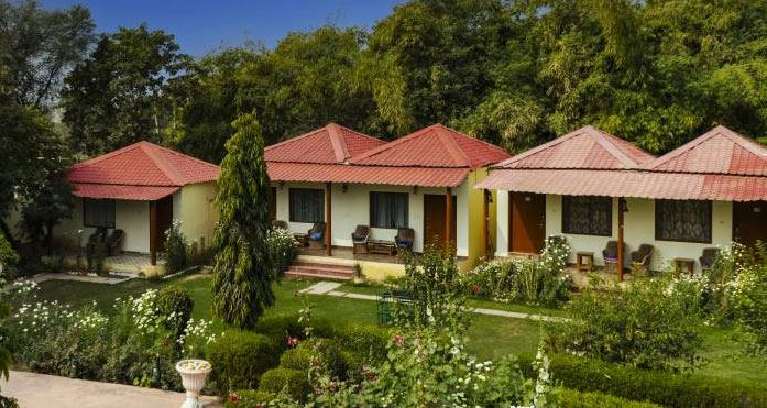 Jungle Retreat Ranthambore