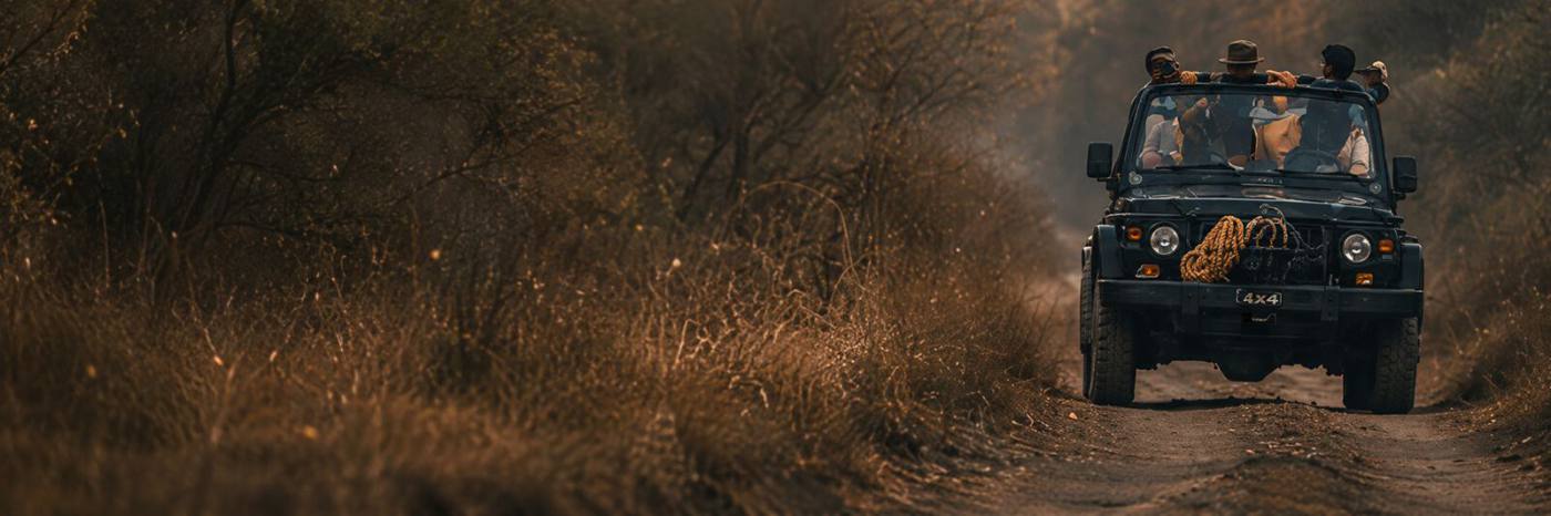 Ranthambore safari booking