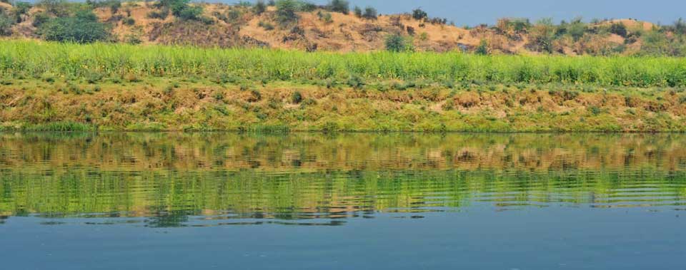 Chambal river boat safari