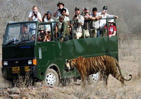 Day 05: Morning Canter Safari & Depart for Agra