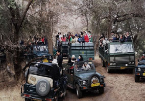 Day 2: Ranthambore National Park Canter Safari