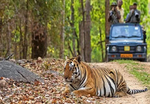 Day 10: Khajuraho to Bandhavgarh National Park