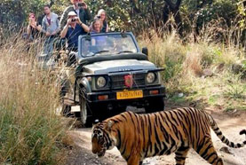 Day 04: Sightseeing Ranthambore National Park