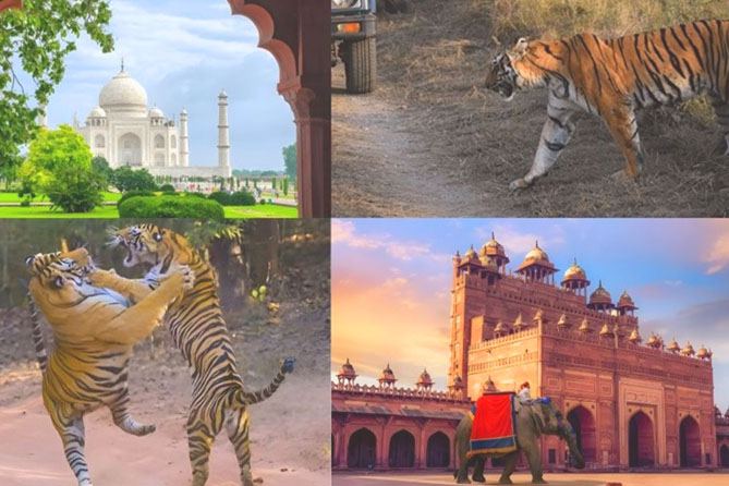 Ranthambore Golden Triangle Tour