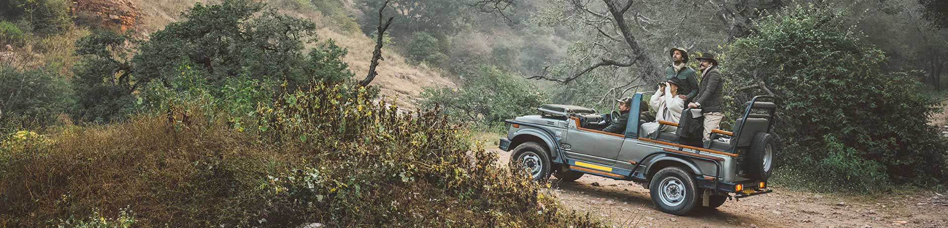 Ranthambore tour packages